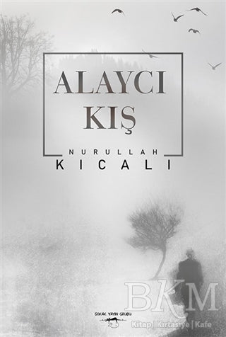 Alaycı Kış - Roman | Avrupa Kitabevi