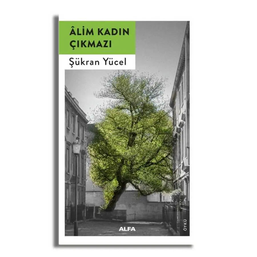 Alim Kadın Çıkmazı