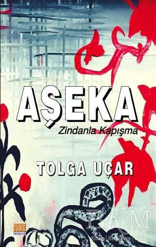 Aşeka - Denemeler | Avrupa Kitabevi