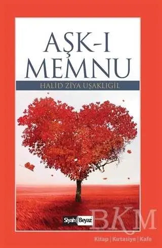 Aşk-ı Memnu - Roman | Avrupa Kitabevi