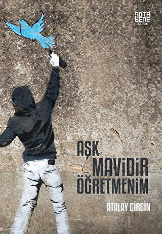 Aşk Mavidir Öğretmenim - Roman | Avrupa Kitabevi