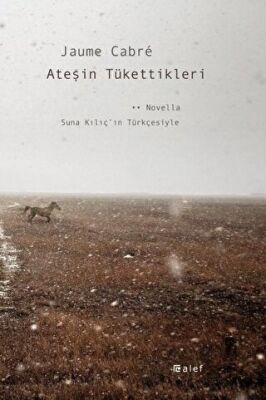 Ateşin Tükettikleri - Roman | Avrupa Kitabevi