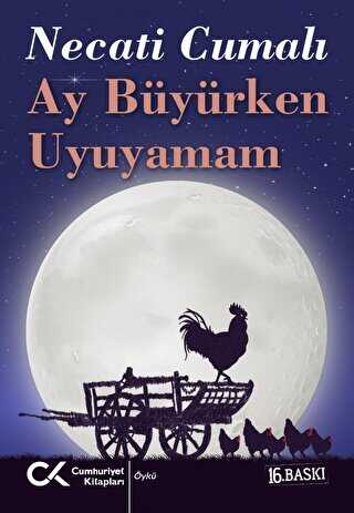Ay Büyürken Uyuyamam - Türk Edebiyatı Romanları | Avrupa Kitabevi