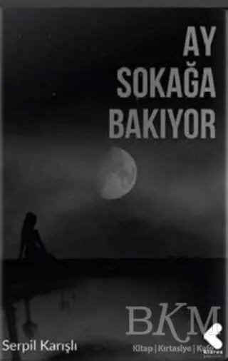 Ay Sokağa Bakıyor - Şiir Kitapları | Avrupa Kitabevi