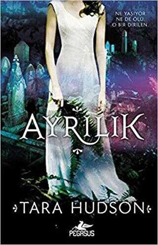 Ayrılık - Roman | Avrupa Kitabevi