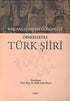 Başlangıcından Günümüze Örnekleriyle Türk Şiiri - Türk Edebiyatı Romanları | Avrupa Kitabevi