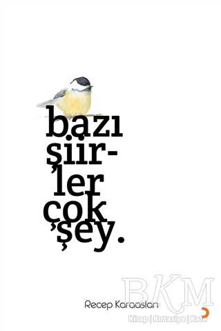 Bazı Şiirler Çok Şey. - Şiir Kitapları | Avrupa Kitabevi