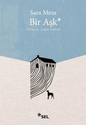 Bir Aşk - Roman | Avrupa Kitabevi