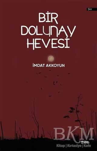 Bir Dolunay Hevesi - Şiir Kitapları | Avrupa Kitabevi