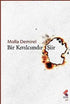 Bir Kıvılcımdır Şiir - Şiir Kitapları | Avrupa Kitabevi