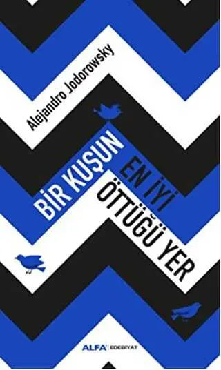 Bir Kuşun En İyi Öttüğü Yer - Roman | Avrupa Kitabevi