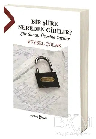 Bir Şiire Nereden Girilir? - Denemeler | Avrupa Kitabevi