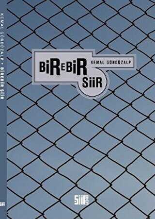 Birebir Şiir - Şiir Kitapları | Avrupa Kitabevi