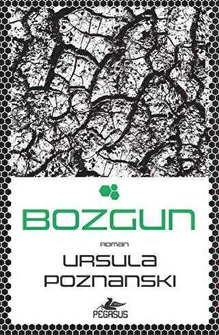 Bozgun