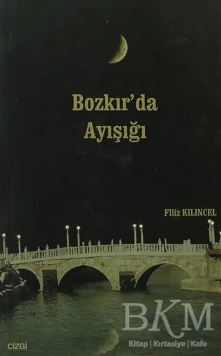 Bozkır’da Ayışığı - Türk Edebiyatı Romanları | Avrupa Kitabevi