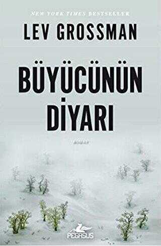 BÜYÜCÜNÜN DİYARI