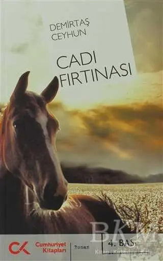 Cadı Fırtınası - Türk Edebiyatı Romanları | Avrupa Kitabevi