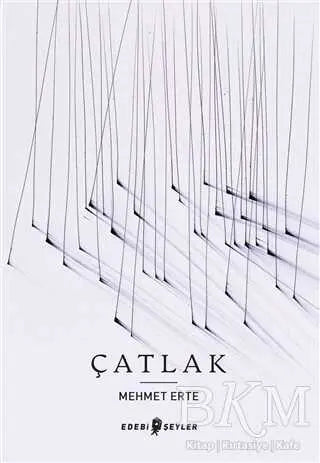 Çatlak - Şiir Kitapları | Avrupa Kitabevi