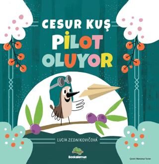 Cesur Kuş Pilot Oluyor - Hikayeler | Avrupa Kitabevi