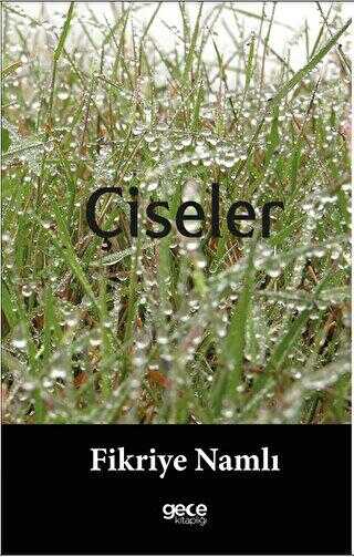 Çiseler - Roman | Avrupa Kitabevi