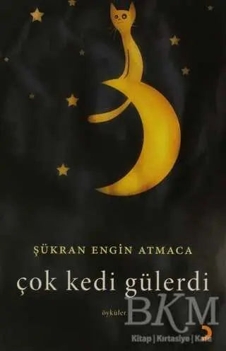 Çok Kedi Gülerdi - Türk Edebiyatı Romanları | Avrupa Kitabevi
