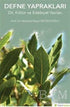 Defne Yapraklar Dil, Kültür ve Edebiyat Yazıları - Denemeler | Avrupa Kitabevi