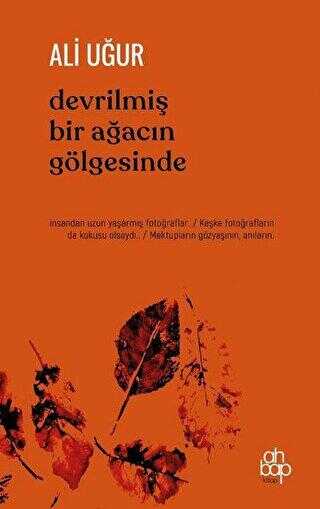 Devrilmiş Bir Ağacın Gölgesinde - Şiir Kitapları | Avrupa Kitabevi