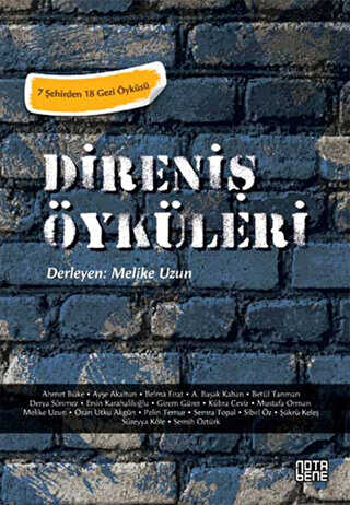 Direniş Öyküleri - Türk Edebiyatı Romanları | Avrupa Kitabevi