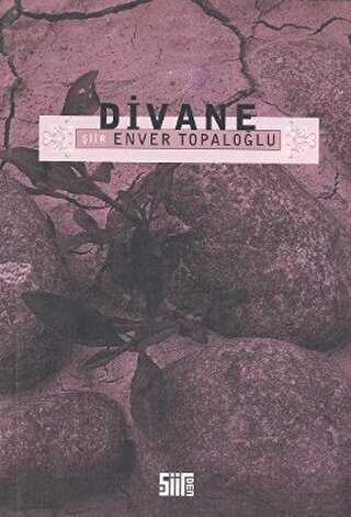 Divane - Türk Edebiyatı Romanları | Avrupa Kitabevi