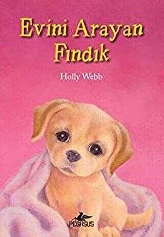 EVİNİ ARAYAN FINDIK