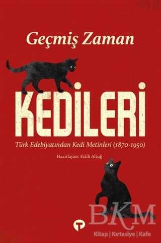 Geçmiş Zaman Kedileri