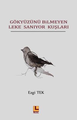 Gökyüzünü Bilmeyen Leke Sanıyor Kuşları - Şiir Kitapları | Avrupa Kitabevi