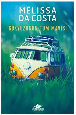 Gökyüzünün Tüm Mavisi - Roman | Avrupa Kitabevi