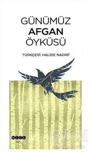 Günümüz Afgan Öyküsü