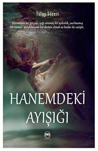 Hanemdeki Ayışığı - Roman | Avrupa Kitabevi