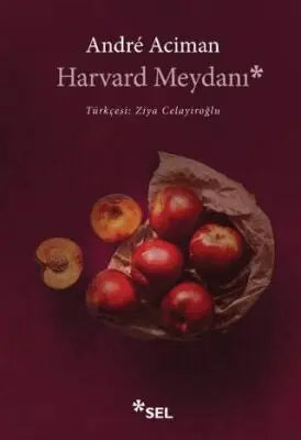 Harvard Meydanı - Roman | Avrupa Kitabevi
