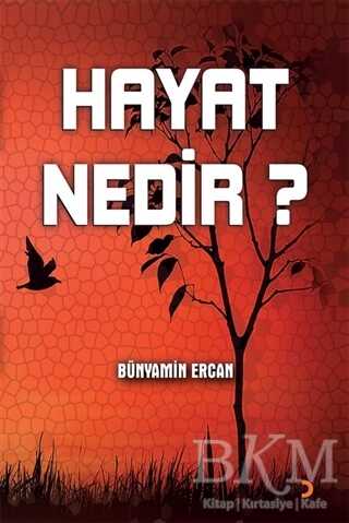 Hayat Nedir? - Denemeler | Avrupa Kitabevi