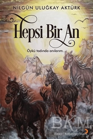 Hepsi Bir An - Anı Mektup ve Günlük Kitapları | Avrupa Kitabevi