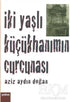 İki Yaşlı Küçükhanımın Curcunası - Türk Edebiyatı Romanları | Avrupa Kitabevi