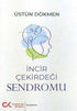 İncir Çekirdeği Sendromu - Kişisel Gelişim Kitapları | Avrupa Kitabevi