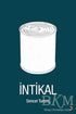 İntikal - Türk Edebiyatı Romanları | Avrupa Kitabevi