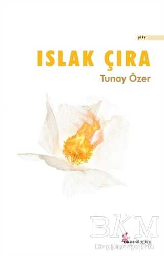 Islak Çıra - Şiir Kitapları | Avrupa Kitabevi