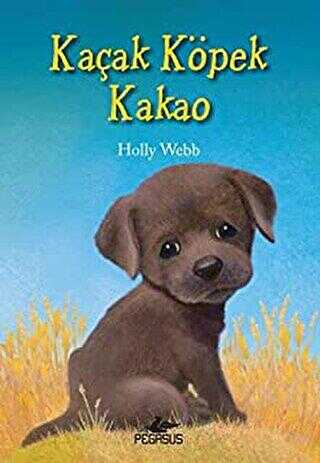 Kaçak Köpek Kakao -  | Avrupa Kitabevi
