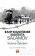 Kamp Esaretinden Edebiyata Şalamov ve Kolıma Öyküleri - Öykü Kitapları | Avrupa Kitabevi