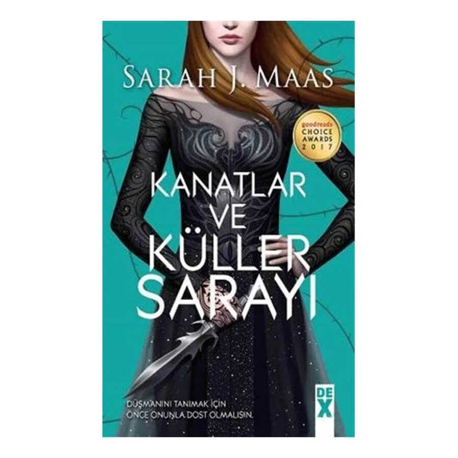 Kanatlar ve Küller Sarayı - Roman | Avrupa Kitabevi