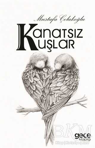 Kanatsız Kuşlar - Şiir Kitapları | Avrupa Kitabevi