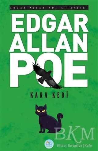 Kara Kedi - Roman | Avrupa Kitabevi