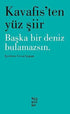 Kavafis`ten Yüz Şiir - Başka Bir Deniz Bulamazsın - Şiir Kitapları | Avrupa Kitabevi