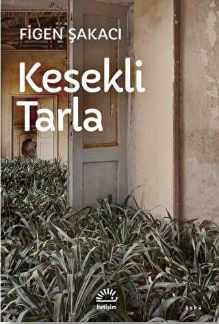 Kesekli Tarla
