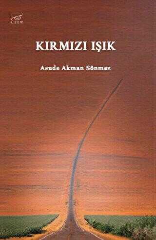 Kırmızı Işık - Roman | Avrupa Kitabevi